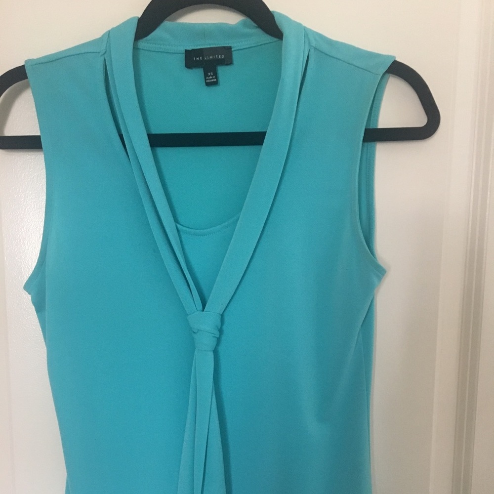 The Limited Sleeveless V-Neck Top